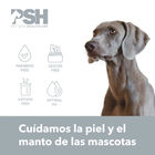 PSH Bálsamo Protetor Nasal para cães e gatos, , large image number null