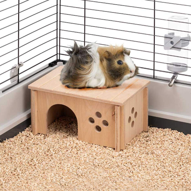 Ferplast SIN 4645 Casa para Roedores,  Imagem número 4 Ferplast SIN 4645 Casa para Roedores, , large Imagem número 4