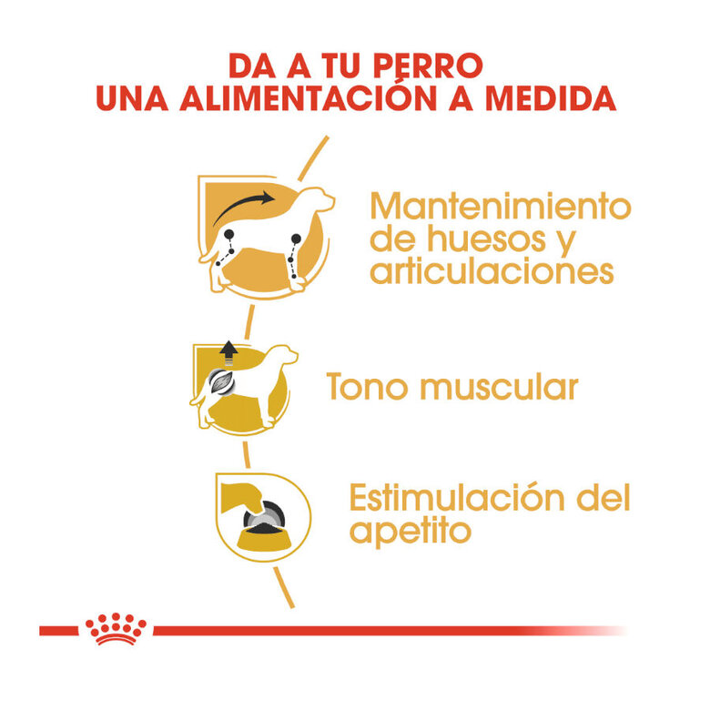 85 g Royal Canin Saquetas de Patê para Teckel,  Imagem número 6 85 g Royal Canin Saquetas de Patê para Teckel, , large Imagem número 6