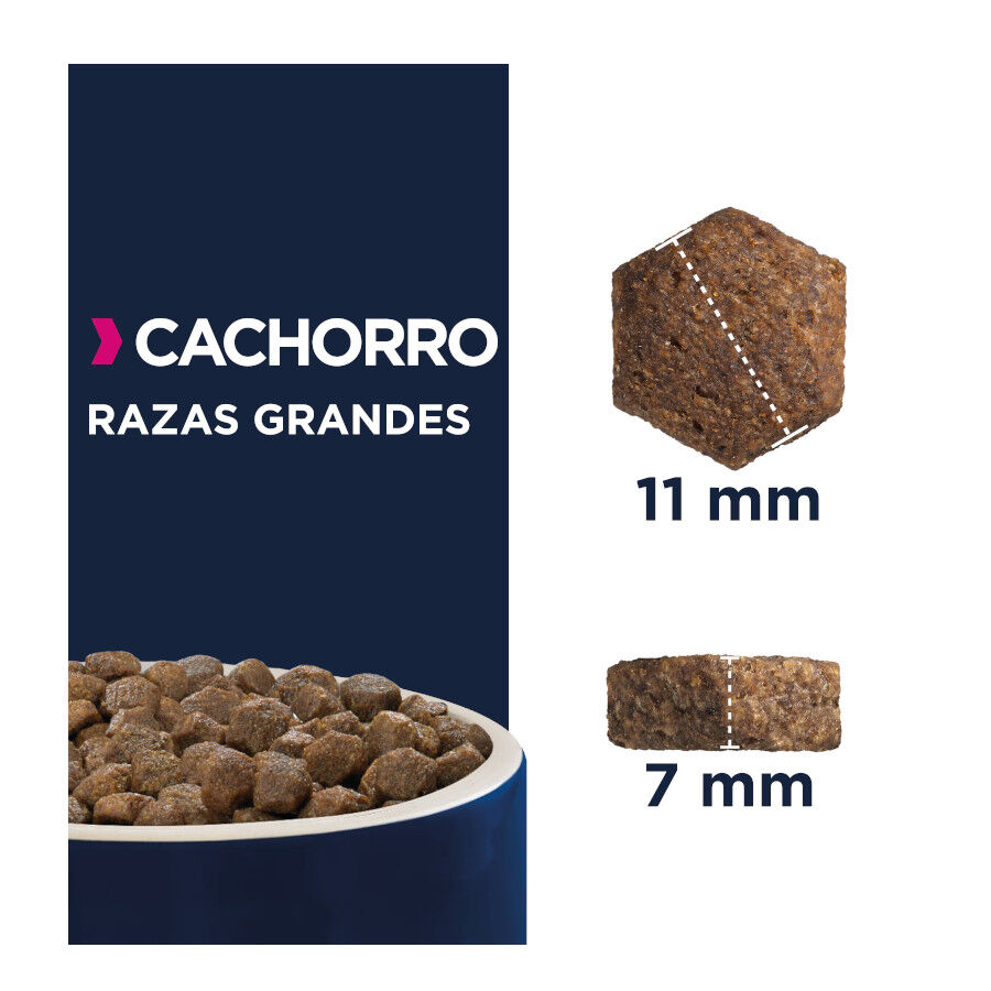 15 kg Eukanuba Puppy Large Breed Frango ra&ccedil;ao para c&atilde;es, , large Imagem n&uacute;mero 2