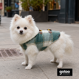 Gotoo Casaco Tartan com Capuz para c&atilde;es