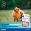Virbac Prevendog Coleira Antiparasitária para cães de porte médio, , large Indicador imagem número 6