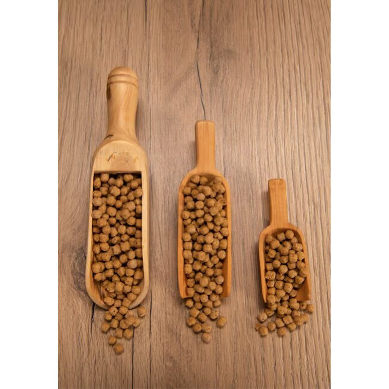 Psittacus Mini ração para pássaros pequenos,  Imagem número 5 Psittacus Mini ração para pássaros pequenos, , large Imagem número 5