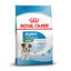 8 kg Royal Canin Mini Puppy ração para cães, , large Indicador imagem número 1