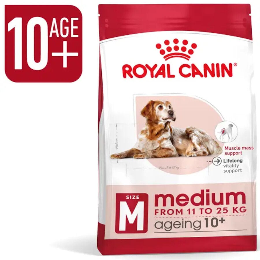 15 kg Royal Canin Medium 10+ Ageing ra&ccedil;&atilde;o para c&atilde;es, , large Imagem n&uacute;mero 3