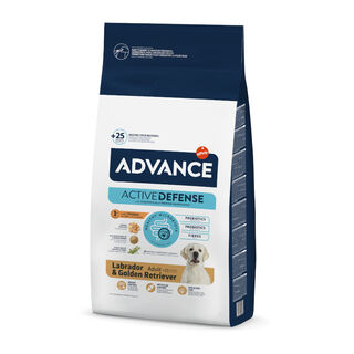 Advance Active Defense Adult Labrador & Golden Retriever Frango e Arroz ração para cães
