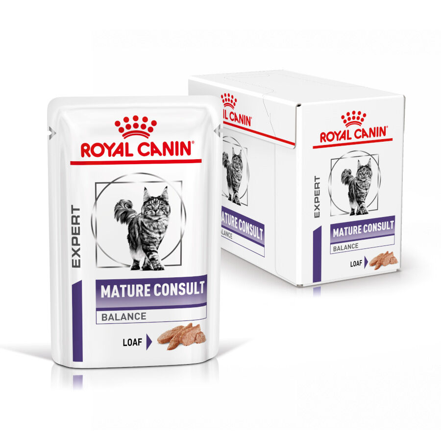 12 saquetas x 85 g Royal Canin Mature Consult Balance Pat&eacute; saqueta para gatos, , large Imagem n&uacute;mero 2