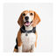 Disney Coleira para cão com estampado Star Wars para cães, , large Indicador imagem número 3