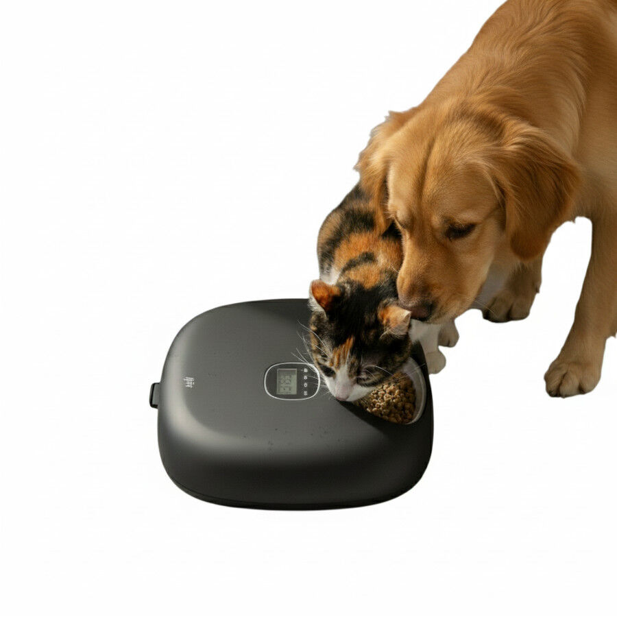 All For Paws Lifestyle Comedouro autom&aacute;tico preto para c&atilde;es e gatos, , large Imagem n&uacute;mero 4