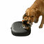 All For Paws Lifestyle Comedouro automático preto para cães e gatos, , large Indicador imagem número 4