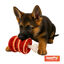 Tootoy! Comfort Beefy Thigh Cuddler peluche com som para cães, , large Indicador imagem número 2