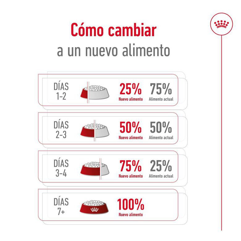 15 kg Royal Canin Maxi Adult 5+ ração para cães seniores de raça grande,  Imagem número 3 15 kg Royal Canin Maxi Adult 5+ ração para cães seniores de raça grande, , large Imagem número 3