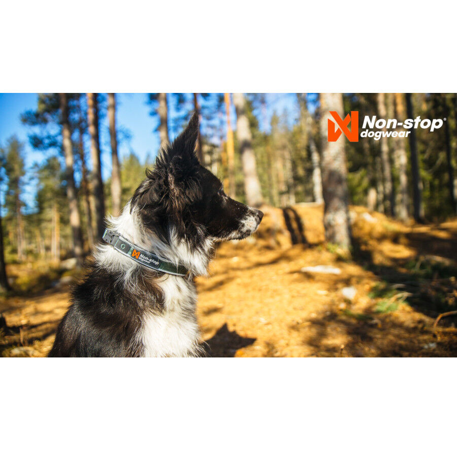 Non-stop dogwear Roam Coleira verde para c&atilde;es, , large Imagem n&uacute;mero 3