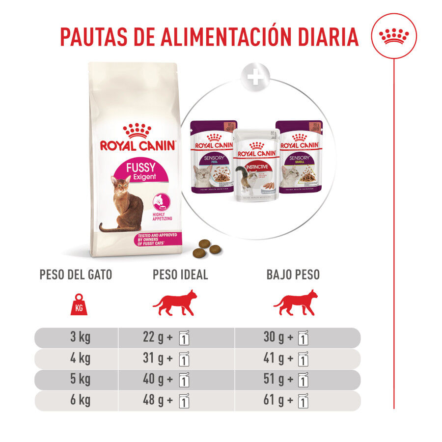 10 kg Royal Canin Fussy Exigent Ra&ccedil;&atilde;o de ave para gatos, , large Imagem n&uacute;mero 10