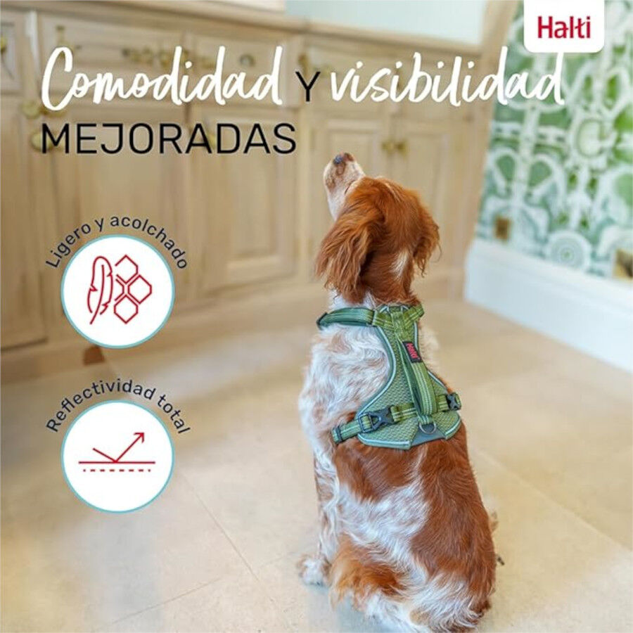 Halti Peitoral Anat&oacute;mico Verde para c&atilde;es pequenos, , large Imagem n&uacute;mero 5