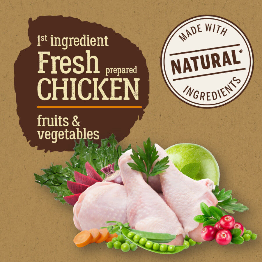 12 kg True Origins Pure Adult Maxi Pollo ra&ccedil;&atilde;o para c&atilde;es, , large Imagem n&uacute;mero 2