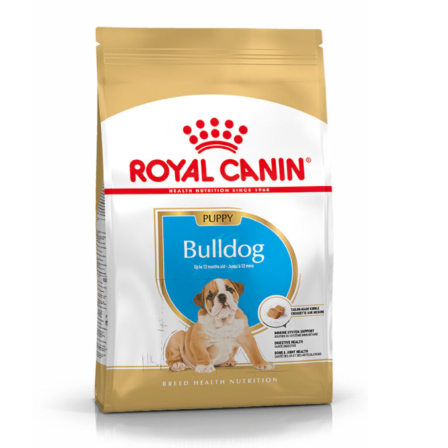 Royal Canin Puppy Bulldog ra&ccedil;&atilde;o para c&atilde;es, , large Imagem n&uacute;mero 2
