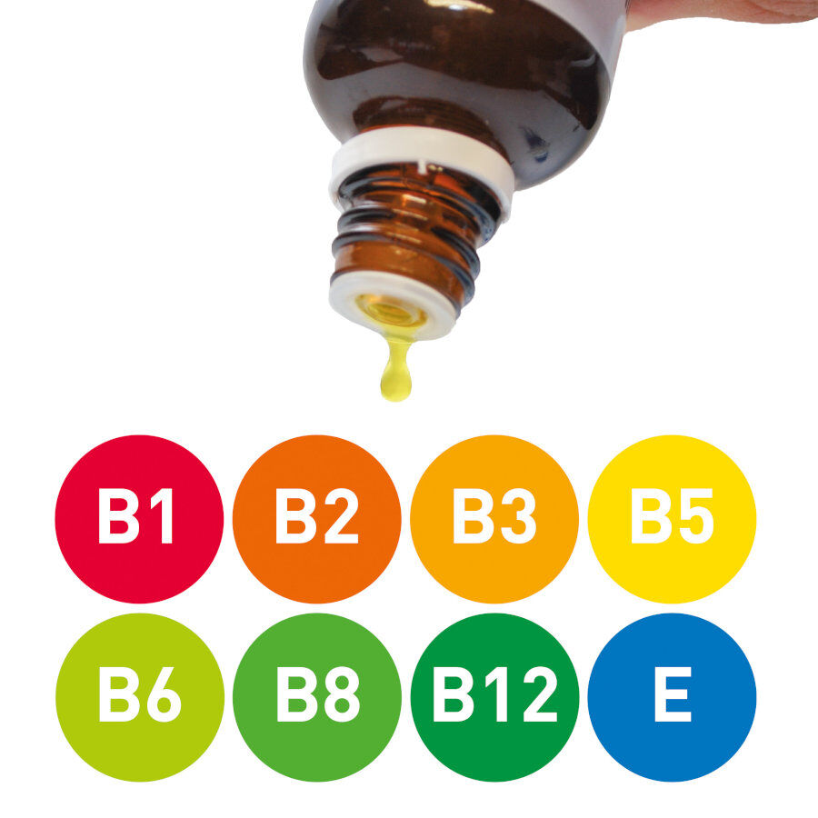 50 ml Beaphar Laveta Carnitina Vitaminas para c&atilde;es, , large Imagem n&uacute;mero 2