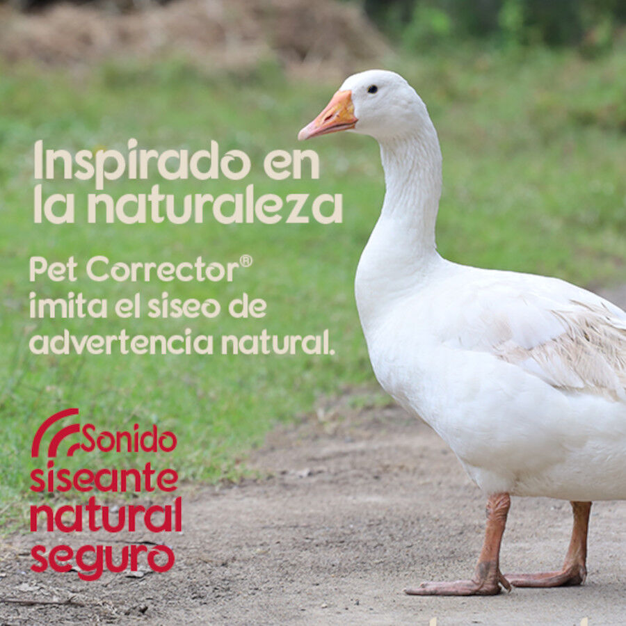 Pet Corrector Spray corretor de comportamento para c&atilde;es 30ml, , large Imagem n&uacute;mero 4