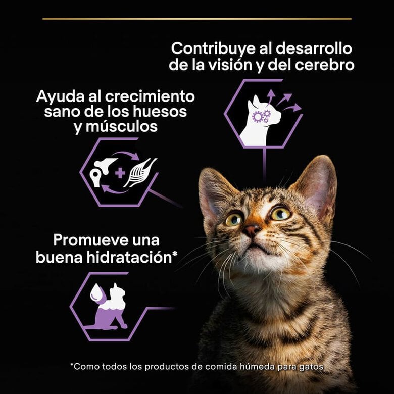 85 g Purina Pro Plan Baby Kitten Mousse lata,  Imagem número 4 85 g Purina Pro Plan Baby Kitten Mousse lata, , large Imagem número 4