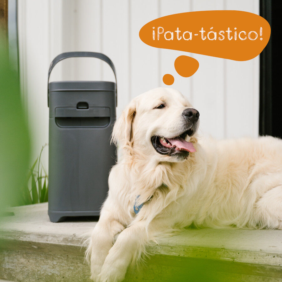 Litter Genie Pel&iacute;culas de Recarga para Excrementos de c&atilde;es, , large Imagem n&uacute;mero 12