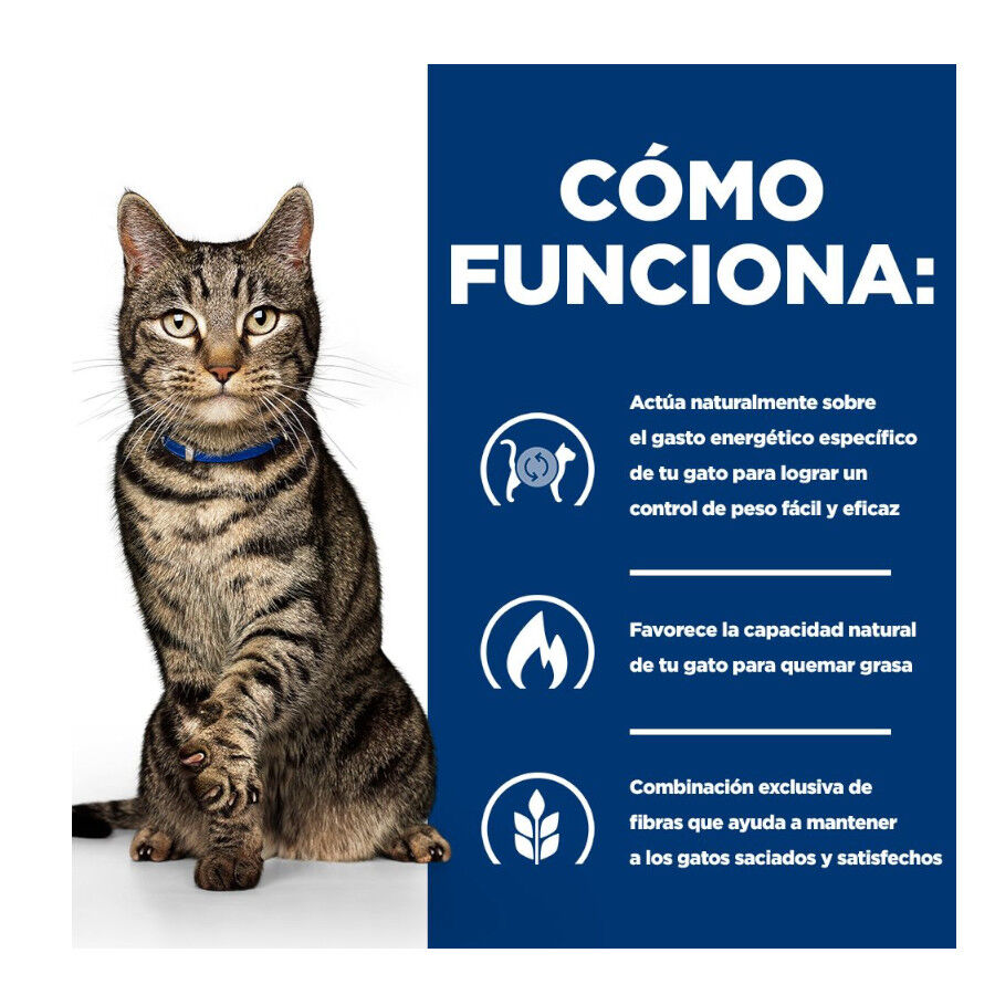 1.5 kg Hill's Prescription Diet Metabolic Atum ra&ccedil;&atilde;o para gatos, , large Imagem n&uacute;mero 5