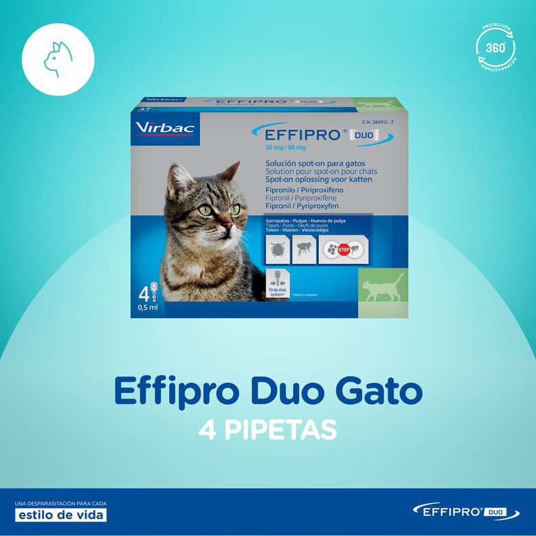 Virbac Effipro Duo Pipetas Antiparasitárias para gatos,  Imagem número 3 Virbac Effipro Duo Pipetas Antiparasitárias para gatos, , large Imagem número 3