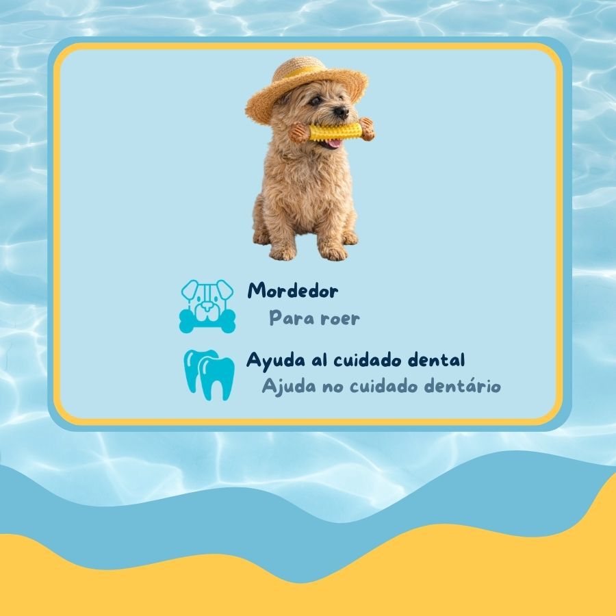 Summer Vibes Chew Bone Mordedor em Formato de Osso para c&atilde;es, , large Imagem n&uacute;mero 3
