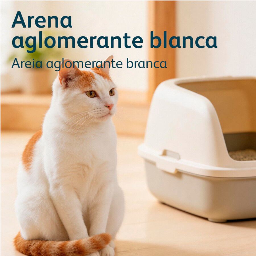 Nova Clean Ultra Areia Aglomerante de Talco para gatos, , large Imagem n&uacute;mero 6