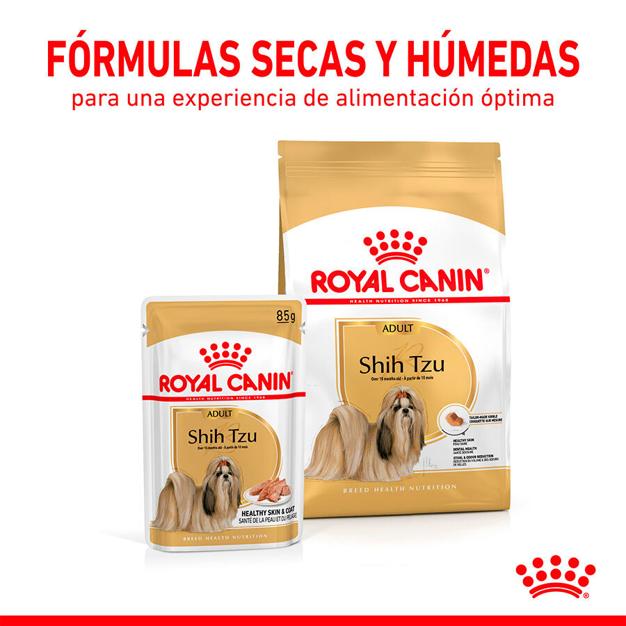 85 g Royal Canin Adult Shih Tzu Pat&ecirc;, , large Imagem n&uacute;mero 6