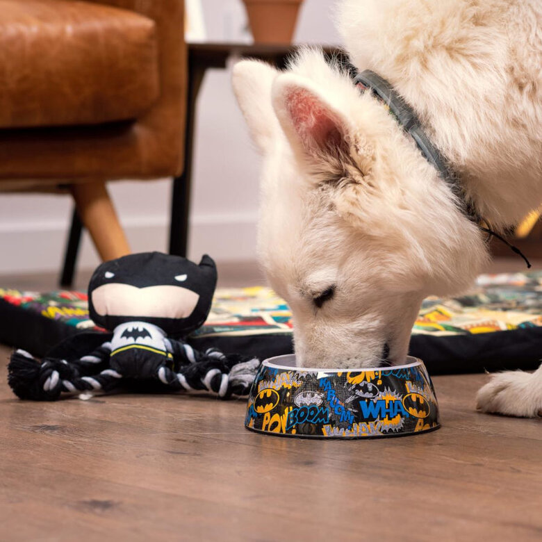 DC Comics Batman Comedouro para cães,  Imagem número 4 DC Comics Batman Comedouro para cães, , large Imagem número 4