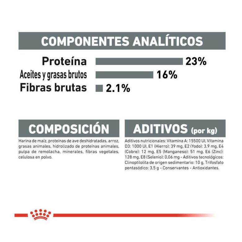 3 kg Royal Canin Mini Dental Care ração para cães,  Imagem número 6 3 kg Royal Canin Mini Dental Care ração para cães, , large Imagem número 6
