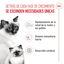 10 kg Royal Canin Mother & Baby ração para gatos, , large Indicador imagem número 3