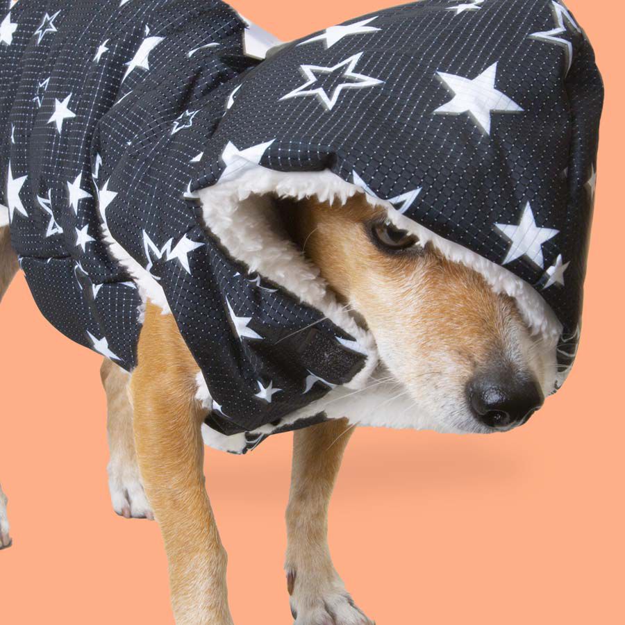 Outech Capa de Chuva Imperme&aacute;vel Com Estrelas para c&atilde;es, , large Imagem n&uacute;mero 3