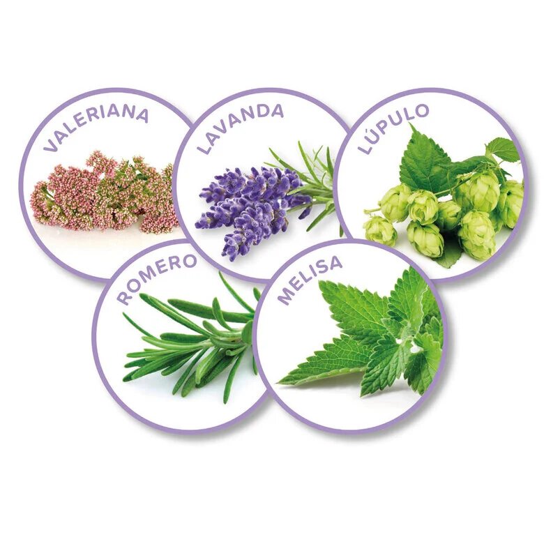 Beaphar Calming spray relaxante para gatos,  Imagem número 4 Beaphar Calming spray relaxante para gatos, , large Imagem número 4