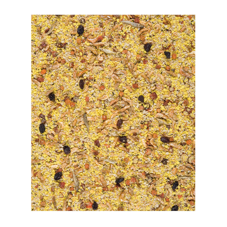 Versele-Laga Orlux Gold Pasta de Cria Ovo para pássaros, , large image number null