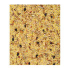 Versele-Laga Orlux Gold Pasta de Cria Ovo para pássaros, , large image number null