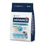 10 kg Advance Active Defense Frango e Arroz ra&ccedil;&atilde;o para gatinhos, , large Indicador imagem n&uacute;mero 1