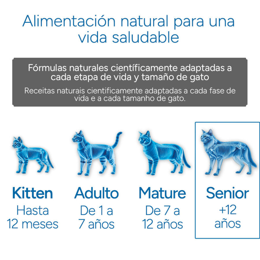 Criadores Cient&iacute;fico Senior +12 Ra&ccedil;&atilde;o de peixe para gatos, , large Imagem n&uacute;mero 11