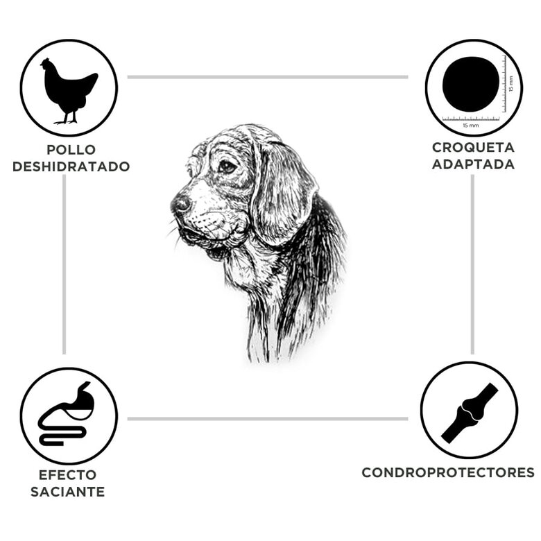 15 kg Criadores Adulto Light Frango ração para cães de porte médio e grande,  Imagem número 3 15 kg Criadores Adulto Light Frango ração para cães de porte médio e grande, , large Imagem número 3