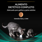 Pro Plan Veterinary Diets Gastrointestinal ração para gatos , , large image number null