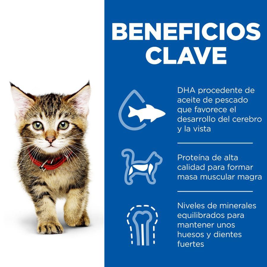 24 saquetas x 85 g Hill's Science Plan Kitten Alimento h&uacute;mido de frango e peixe em saqueta para gatinhos Pack Poupan&ccedil;a!, , large Imagem n&uacute;mero 3