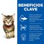 24 sobres x 85 g Hill's Science Plan Kitten Pollo y Pescado sobre para gatos  ¡Pack ahorro!, , large Indicador imagem número 3