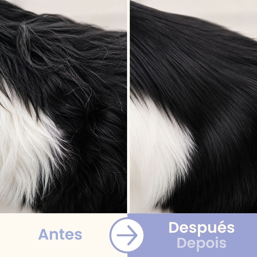 Bloob Luva-Escova para c&atilde;es, , large Imagem n&uacute;mero 5