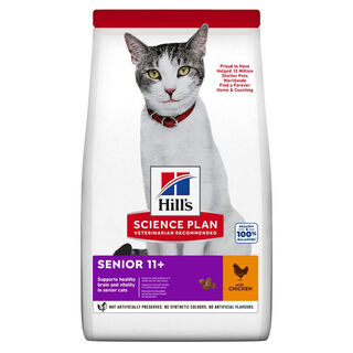 Hill's Senior Frango ração para gatos