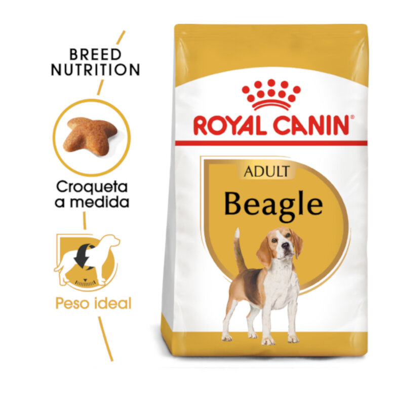 12 kg Royal Canin Adult Beagle ração para cães,  Imagem número 2 12 kg Royal Canin Adult Beagle ração para cães, , large Imagem número 2