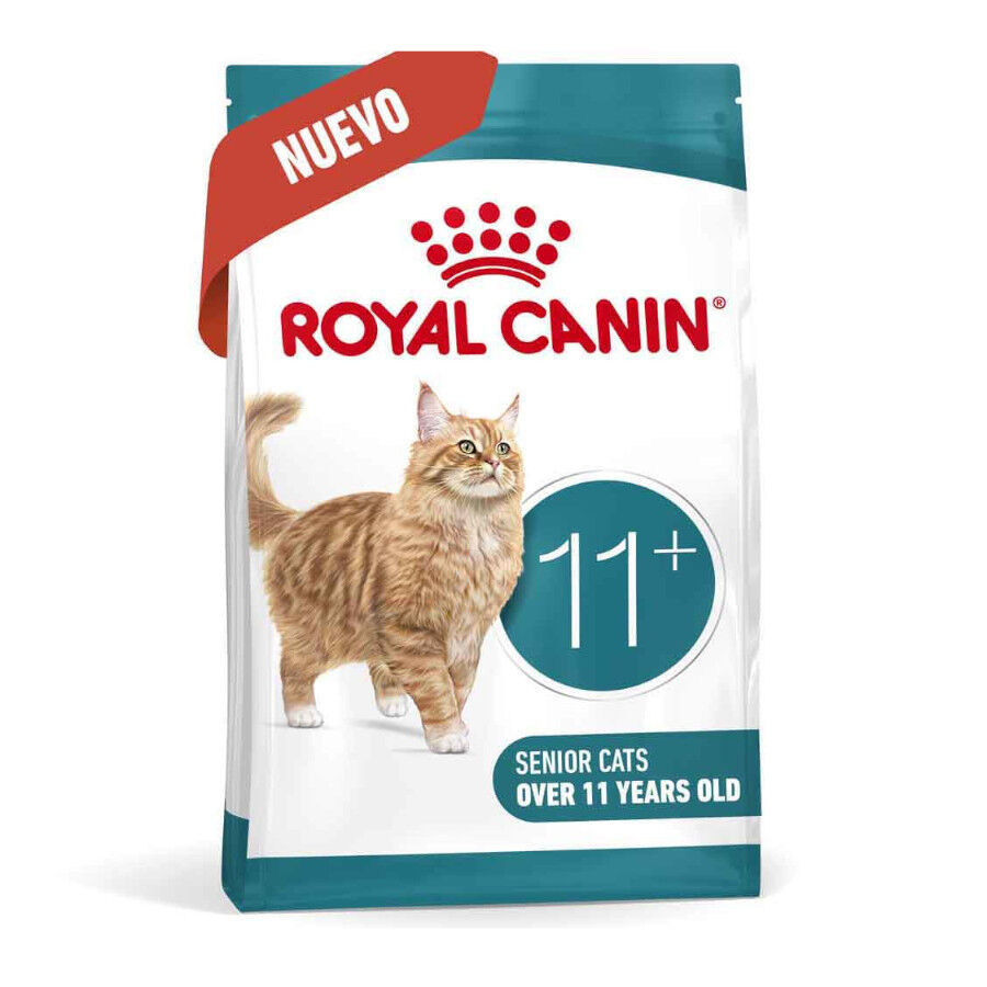 4 kg Royal Canin Ageing 11+ ra&ccedil;&atilde;o para gatos, , large Imagem n&uacute;mero 2