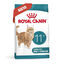 4 kg Royal Canin Ageing 11+ ração para gatos, , large Indicador imagem número 2