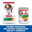 18 kg (15 + 3 kg grátis!) Hill's Science Plan Puppy Medium Frango ração para cães, , large Indicador imagem número 5
