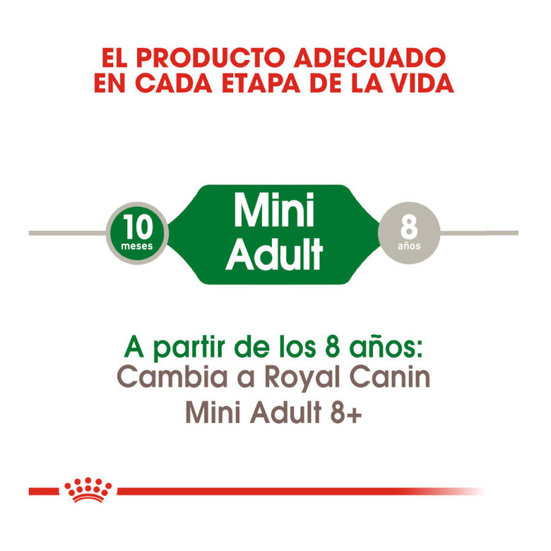 Royal Canin Mini Adult ração para cães , , large image number null